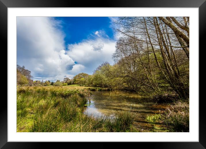 Water Meadow Framed Mounted Print by Wight Landscapes
