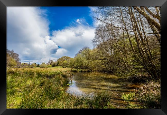 Water Meadow Framed Print by Wight Landscapes