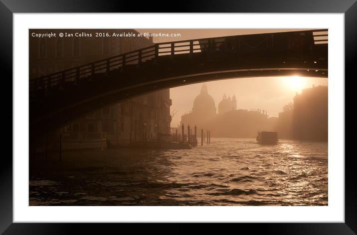 Early Morning Under Accademia Bridge, Venice Framed Mounted Print by Ian Collins