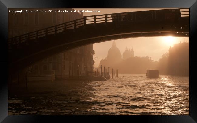 Early Morning Under Accademia Bridge, Venice Framed Print by Ian Collins