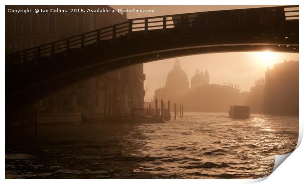 Early Morning Under Accademia Bridge, Venice Print by Ian Collins