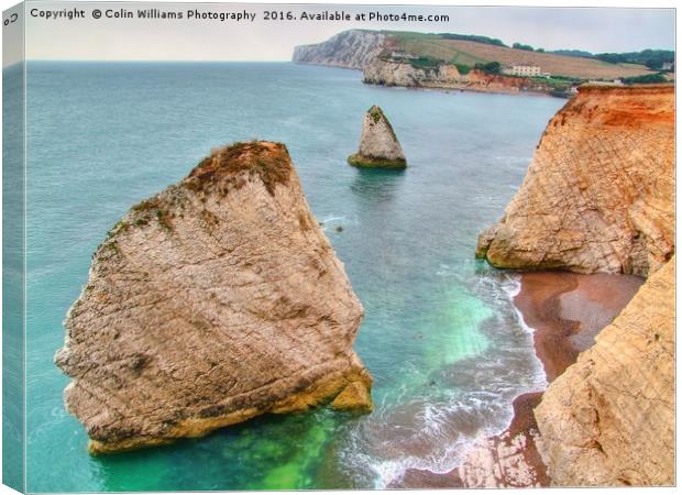 Freshwater Bay Isle of Wight Canvas Print by Colin Williams Photography