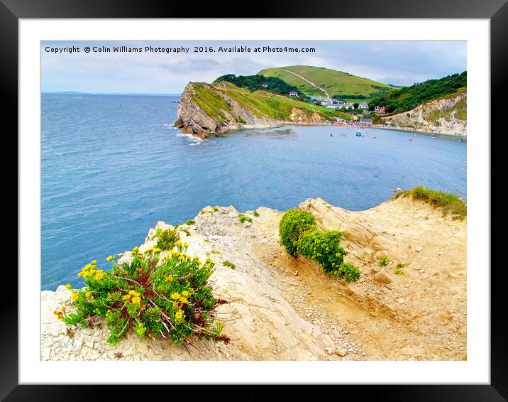 Lulworth Cove Dorset Framed Mounted Print by Colin Williams Photography