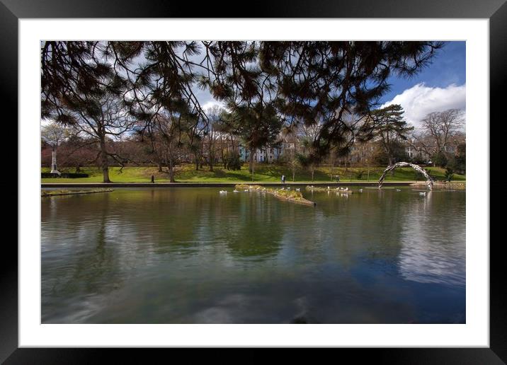 Peering under the trees Framed Mounted Print by Stephen Prosser