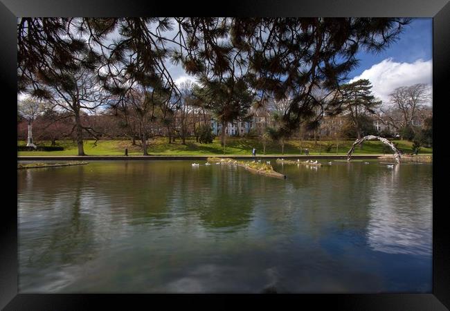 Peering under the trees Framed Print by Stephen Prosser