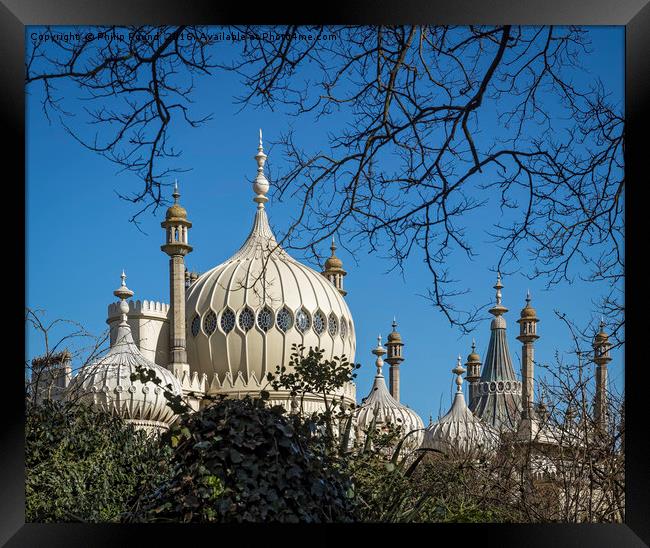 The Royal Pavilion Dome Brighton Framed Print by Philip Pound