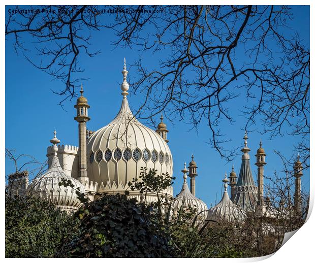 The Royal Pavilion Dome Brighton Print by Philip Pound