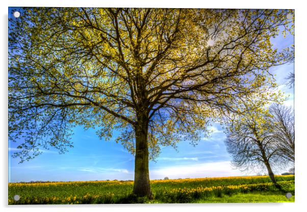 The Summer Farm Tree Acrylic by David Pyatt