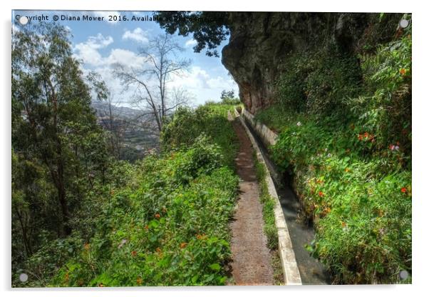 Levada do Norte, Madeira Acrylic by Diana Mower