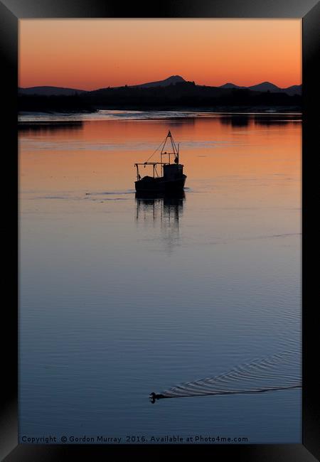 Evening Paddle Framed Print by Gordon Murray
