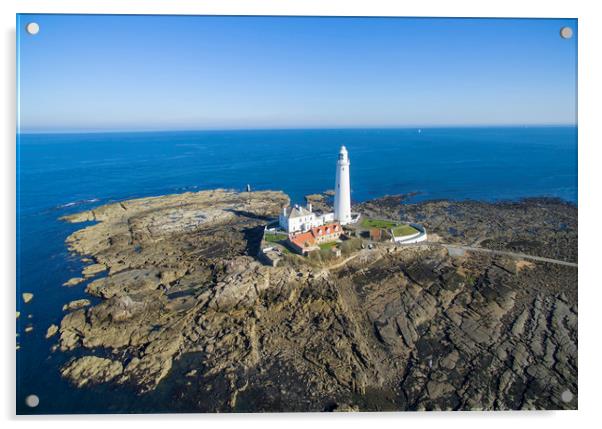 St Marys Lighthouse Acrylic by Ben Wilkinson