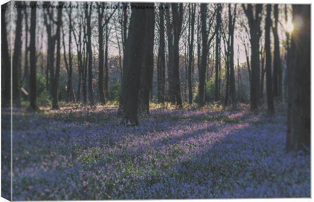 Bluebells Canvas Print by Angela Aird