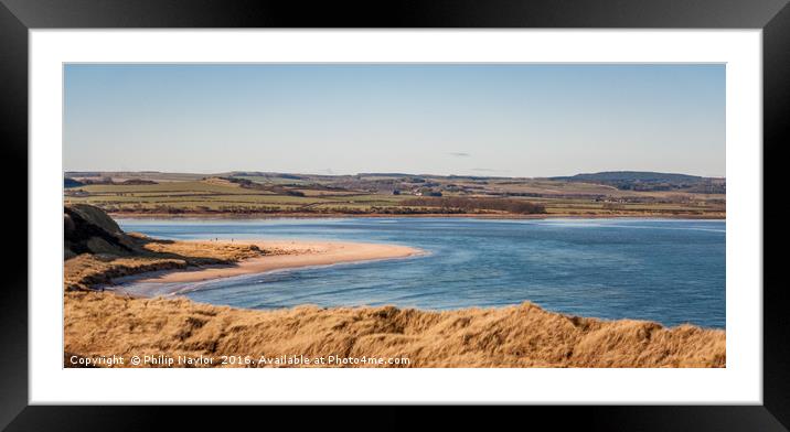 Majestic Budle............ Framed Mounted Print by Naylor's Photography