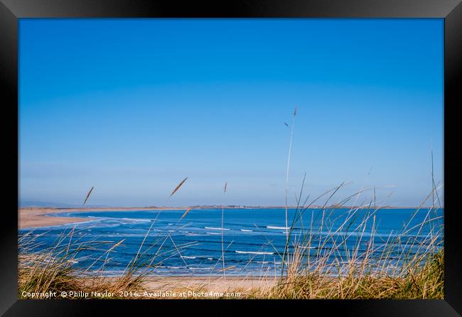 Dunes to the Bay.......... Framed Print by Naylor's Photography