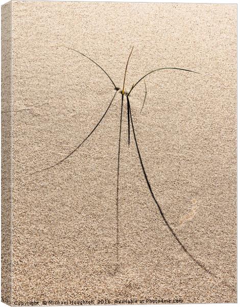 Grass spikes Canvas Print by Michael Houghton