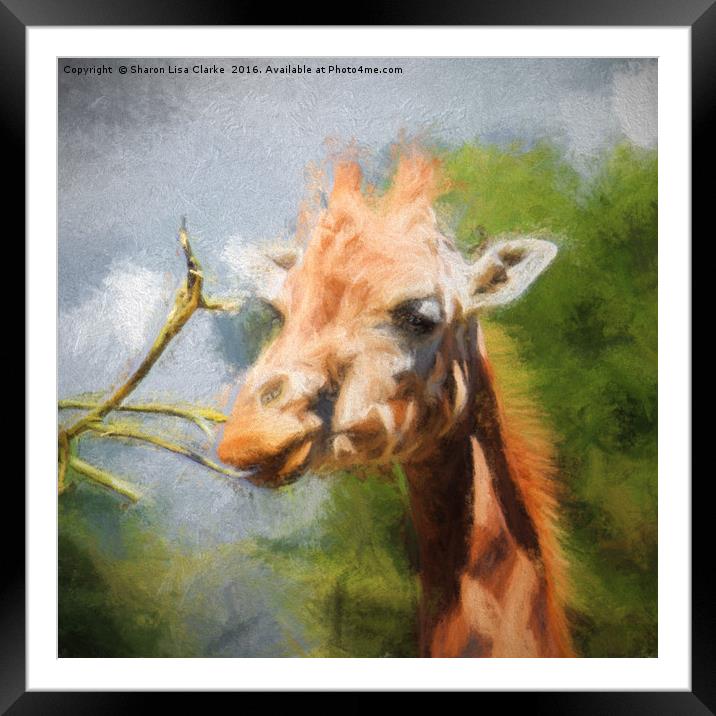 Giraffe Impression Framed Mounted Print by Sharon Lisa Clarke