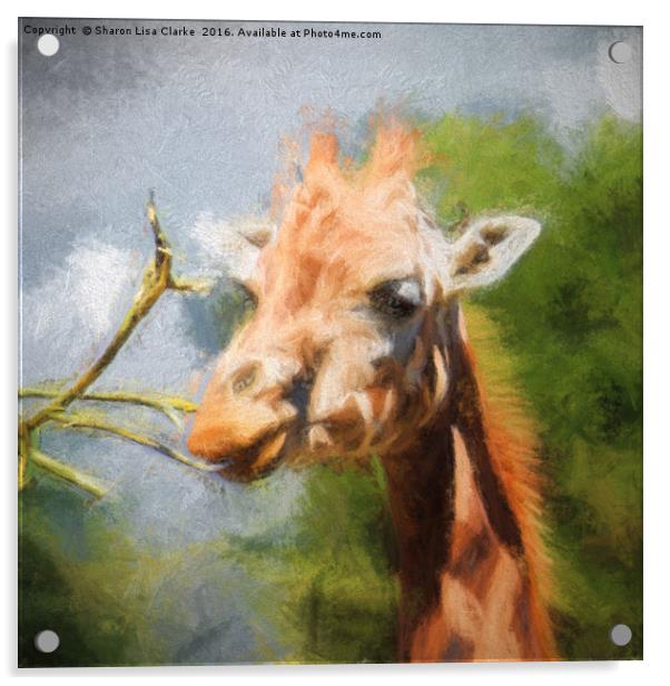 Giraffe Impression Acrylic by Sharon Lisa Clarke