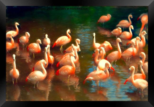 Flamingo party Framed Print by Sharon Lisa Clarke