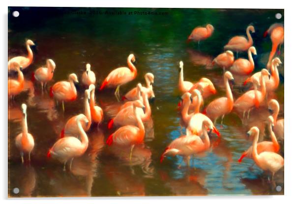 Flamingo party Acrylic by Sharon Lisa Clarke