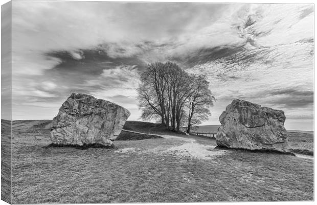 Monoliths. Canvas Print by Mark Godden