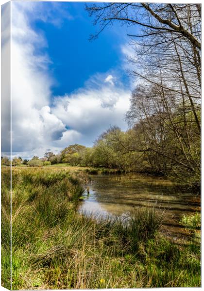 Isle Of Wight Water Meadow Canvas Print by Wight Landscapes