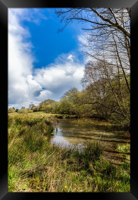 Isle Of Wight Water Meadow Framed Print by Wight Landscapes