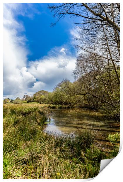 Isle Of Wight Water Meadow Print by Wight Landscapes