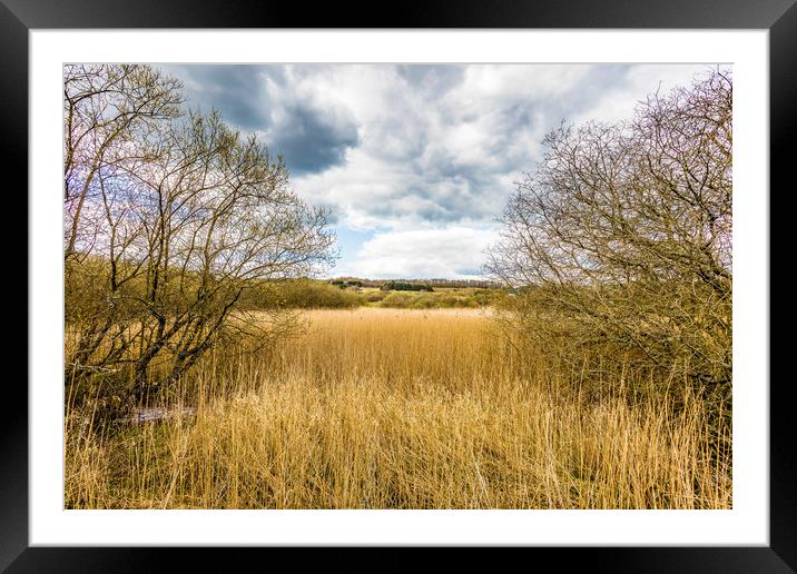 Yar River Trail Framed Mounted Print by Wight Landscapes