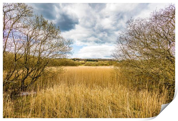 Yar River Trail Print by Wight Landscapes