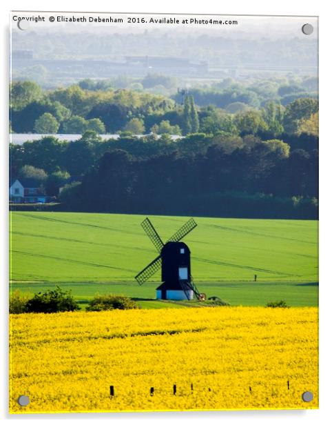 Windmill in a field of Yellow Oilseed Rape Acrylic by Elizabeth Debenham