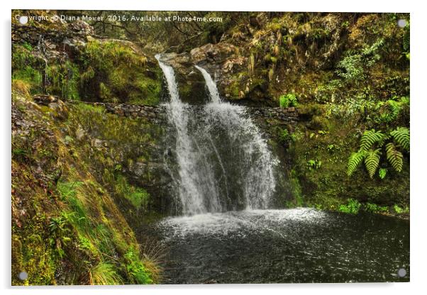 Madeiran Waterfall Acrylic by Diana Mower