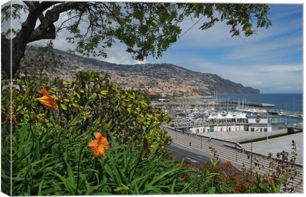 Funchal, Madeira Canvas Print by Diana Mower