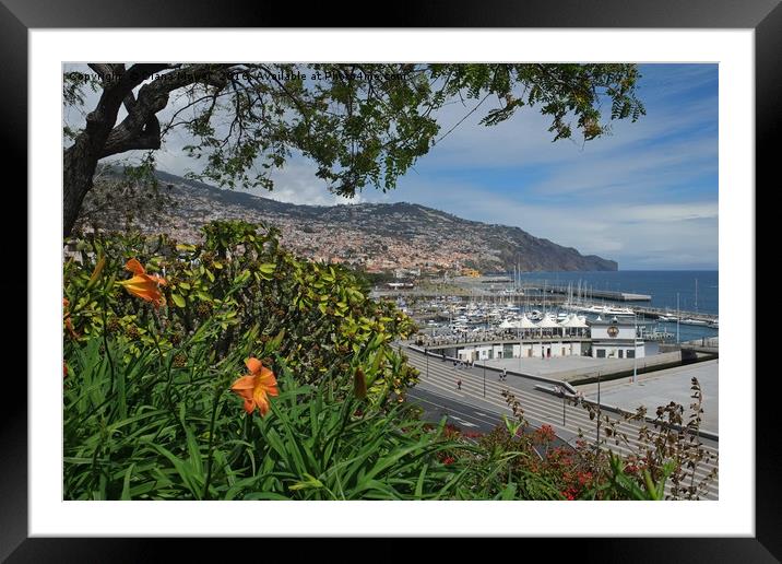 Funchal, Madeira Framed Mounted Print by Diana Mower