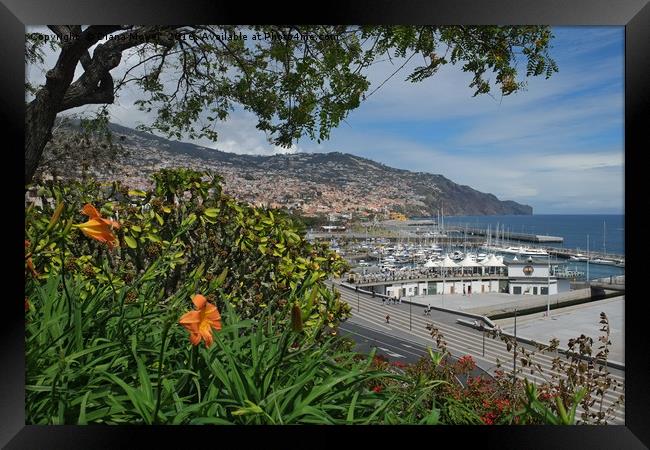 Funchal, Madeira Framed Print by Diana Mower