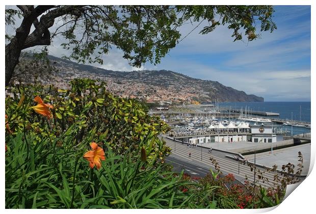 Funchal, Madeira Print by Diana Mower