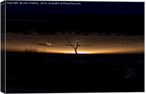 Illuminated Waterhole - Namibia Canvas Print by colin chalkley