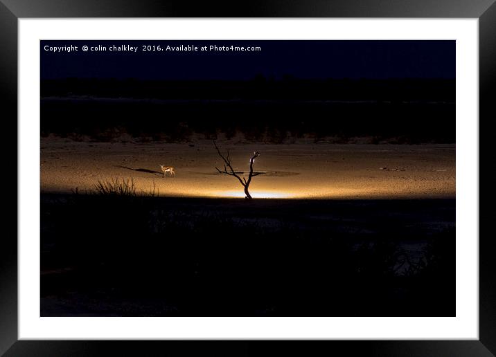 Illuminated Waterhole - Namibia Framed Mounted Print by colin chalkley