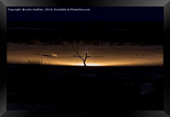 Illuminated Waterhole - Namibia Framed Print by colin chalkley