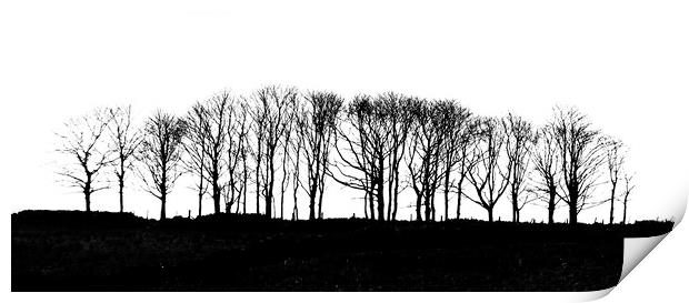 Silhouetted Trees Print by Scott Middleton