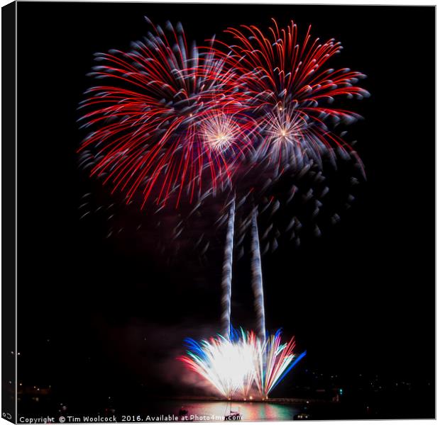 National Fireworks Competition - Plymouth  Canvas Print by Tim Woolcock