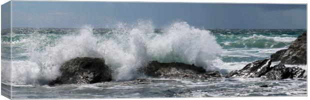 Wave Crashing Canvas Print by Michael Hopes