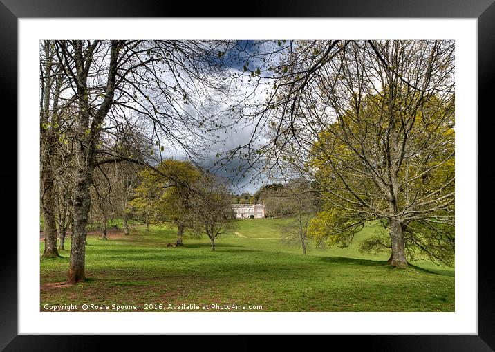 Cockington Court in Cockington Country Park Framed Mounted Print by Rosie Spooner