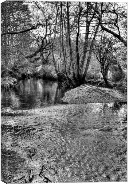 New Forest Ripple Canvas Print by Malcolm McHugh