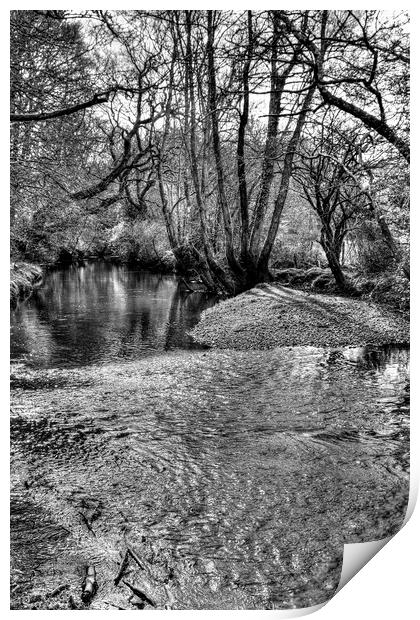 New Forest Ripple Print by Malcolm McHugh