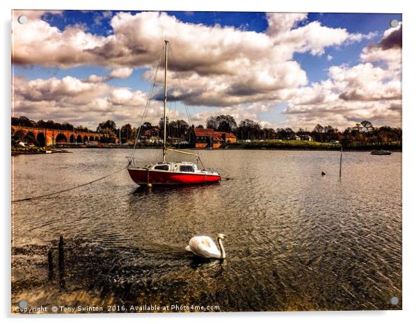 Red boat  Acrylic by Tony Swinton