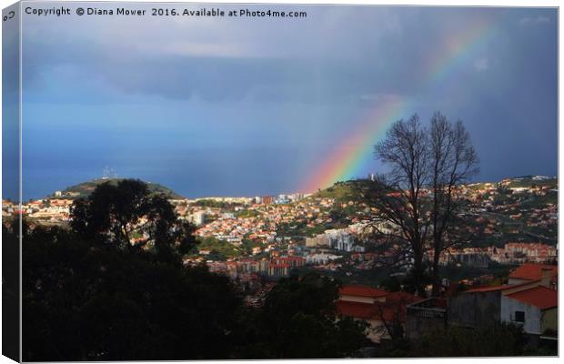 Rainbow over Funchal Canvas Print by Diana Mower