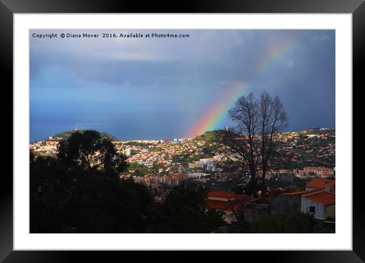Rainbow over Funchal Framed Mounted Print by Diana Mower