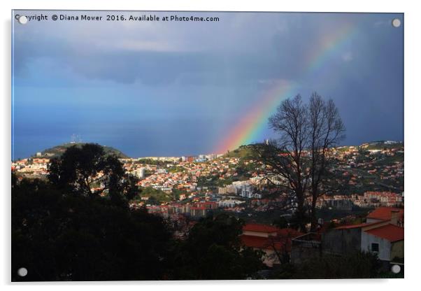 Rainbow over Funchal Acrylic by Diana Mower