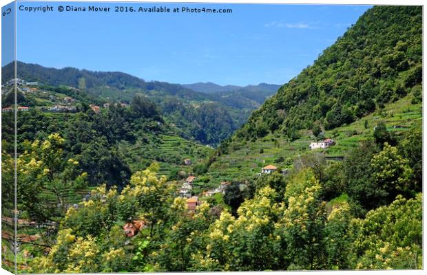 The Ribeira de Machico Valley, Madeira Canvas Print by Diana Mower