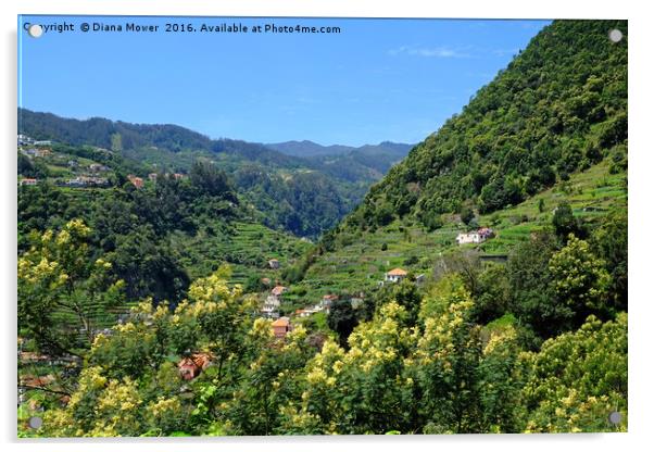 The Ribeira de Machico Valley, Madeira Acrylic by Diana Mower